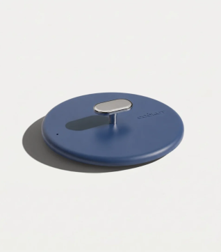 De Prachtige rvs deksel 20 cm