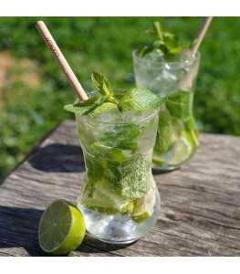 Meilleurs verres à mojito du monde | Cookut