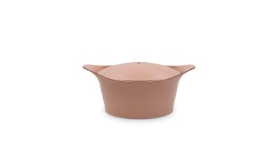 Farbe des 20 cm-Bräters