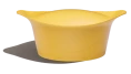 Mangue